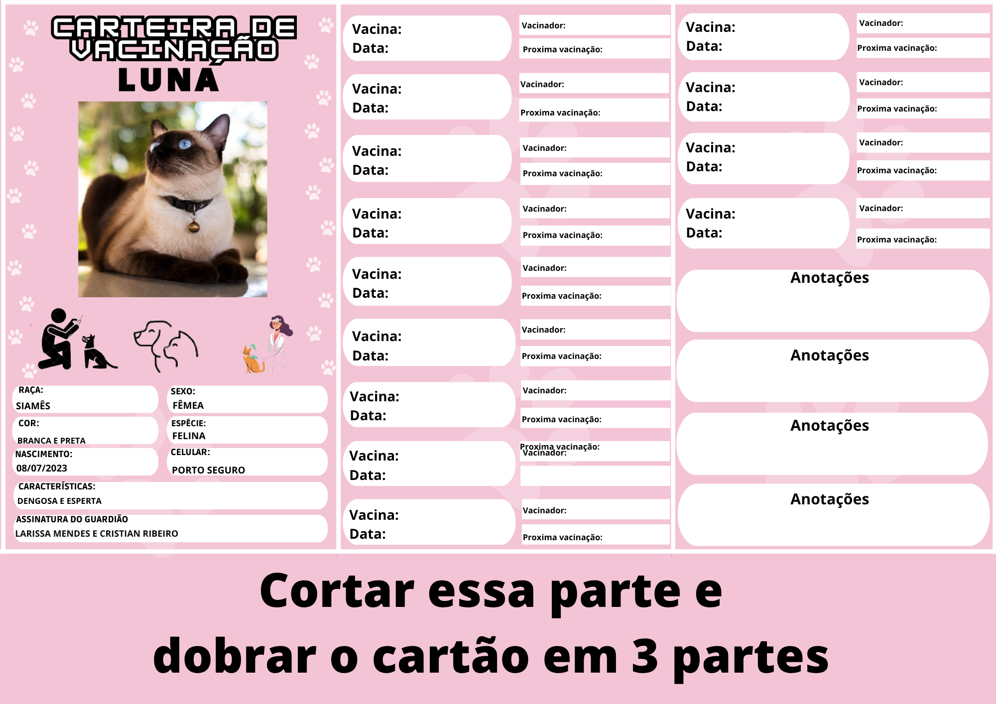 Cartão de Vacinação Pet rosa